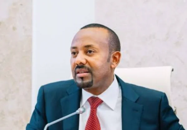 Ethiopia Accuses Eritrea and Sudan of Backing Tigray Rebels Amid Clashes