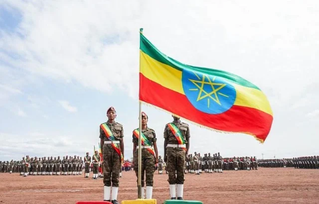 Ethiopia Accuses Foreign Actors of Supporting Rebel Groups Seeking to Oust Government