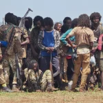 Ethiopia Army Chief Accuses Eritrea, Sudan and Egypt of Backing Tigray Rebels