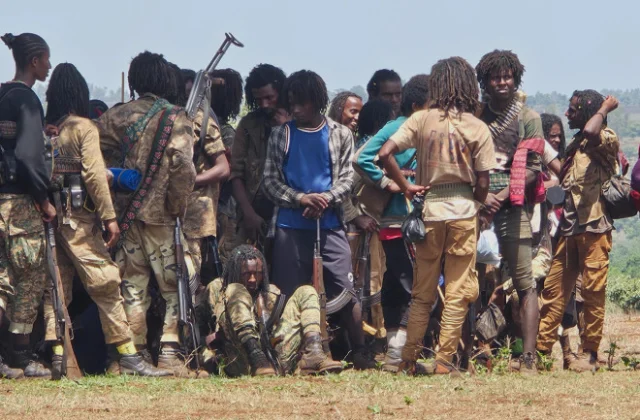 Ethiopia Army Chief Accuses Eritrea, Sudan and Egypt of Backing Tigray Rebels