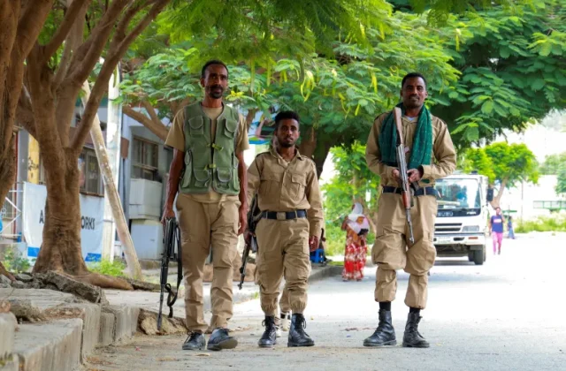 Ethiopian Army Says 272 Rebel Fighters Killed After Failed Offensive
