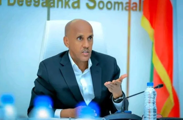 Ethiopian Somali Region President Criticizes ONLF Faction Over Armed Struggle Comments