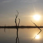 Kariba Residents Sue Zimbabwe Government Over Ferry Deaths