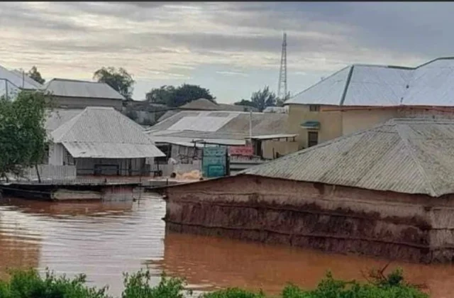 Millions at risk as El Niño could worsen eastern, southern Africa food crisis