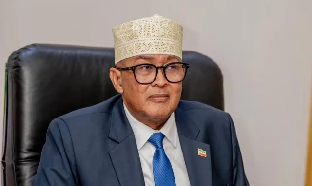 North Western State of Somalia President Offers Troops for Gaza Force if U.S. or Israel Requests