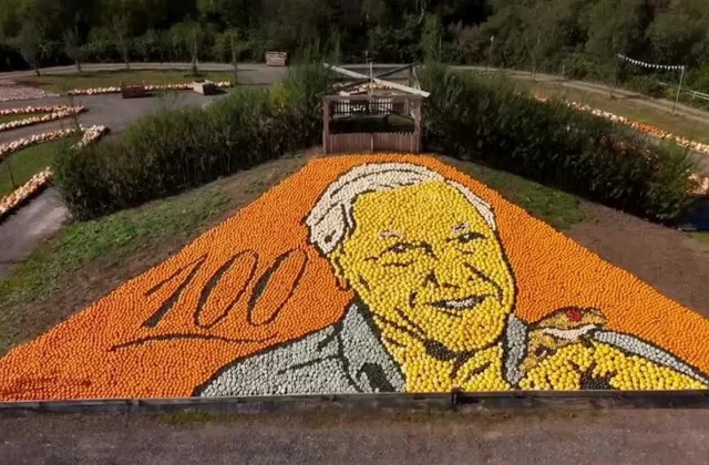 Pumpkin Mosaic of David Attenborough Sets a World Record
