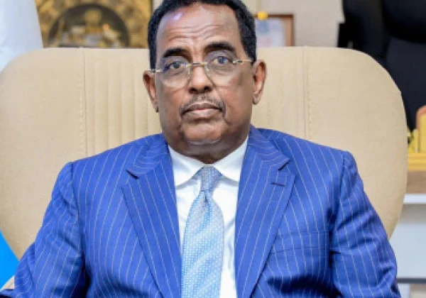 Somali MPs Seek Removal of Interior Minister Ali Hosh Over Performance Concerns