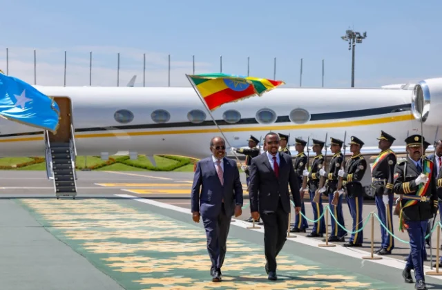 Somali President Meets Ethiopian Prime Minister in Addis Ababa