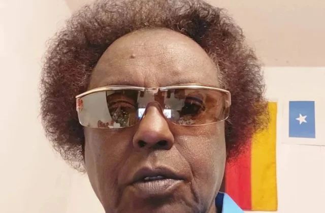 Somali journalist Mohamed Aweys Moodey dies after being stabbed in Germany