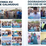 Somalia Holds Direct Local and Regional Elections in Galmudug and Hirshabelle States