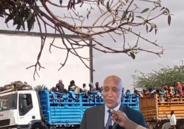 Somalia confirms Saudi-funded troops crossed into Ethiopia after receiving training