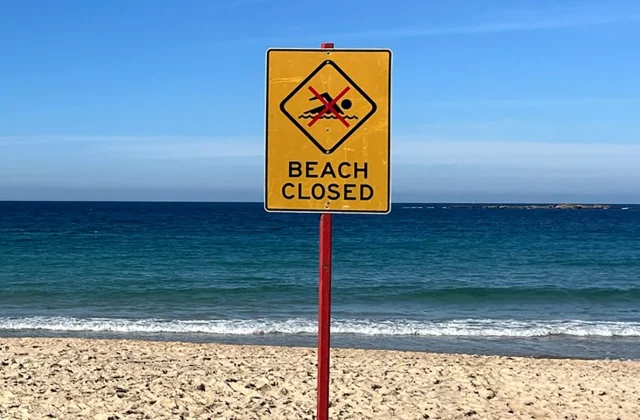 Sydney teacher punches shark with ‘left hook’ during attack