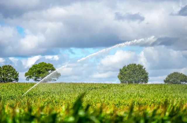 UN: Global food prices reach highest level since 2022