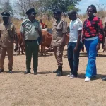Zambian Police Cross into Malawi to Recover Stolen Cattle