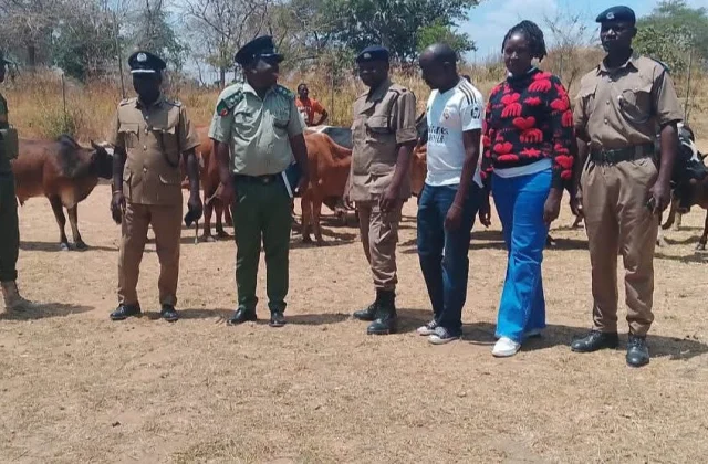 Zambian Police Cross into Malawi to Recover Stolen Cattle