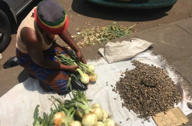 Zimbabwean Street Vendors Vow to Defy Harare Eviction Order