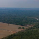 Brazil’s Amazon Deforestation Falls to All-Time Low
