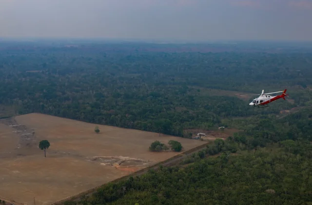 Brazil’s Amazon Deforestation Falls to All-Time Low