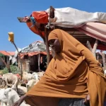 Brisk livestock sales help Middle Shabelle pastoralists repay drought-related debts