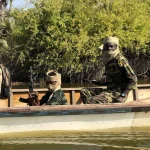 Cameroonian Army Outposts Alone Cannot Secure Lake Chad