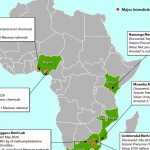 Corruption and Weak Borders Drive Cartel Expansion Across Africa