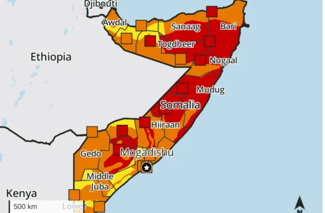 Famine risk rises in southern Somalia as food crisis deepens