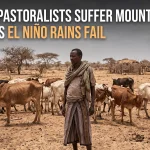 Garissa pastoralists suffer mounting losses as El Niño rains fail
