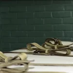 How U.S. states carry out executions, from lethal injections to firing squads