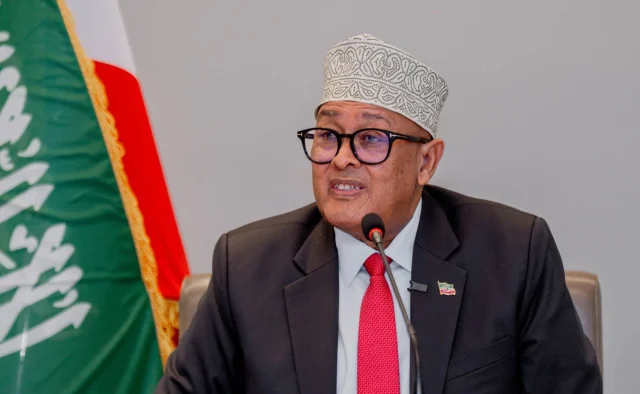 North Western State of Somalia President Abdirahman Mohamed Abdullahi Irro Outlines Vision for the Future