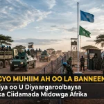 Saldhigyo Muhiim ah oo La Banneynayo: Soomaaliya oo U Diyaargaroobaysa Bixitaanka Ciidamada Midowga Afrika
