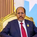 Somalia Willing to Restore UAE Ties Despite North Western State of Somalia Tensions, President Says