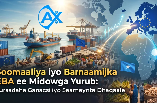 Soomaaliya iyo Barnaamijka EBA ee Midowga Yurub: Fursadaha Ganacsi iyo Saameynta Dhaqaale