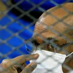Sudan’s Bashir Transferred to Khartoum