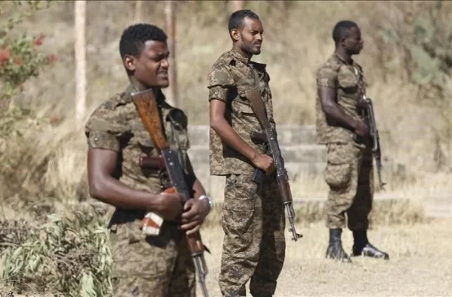Tigray Rebels Claim More Than 1,500 Ethiopian Soldiers Killed as Abiy Ahmed Warns Eritrea