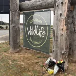 Tributes paid to man killed in tiger attack at UK wildlife park
