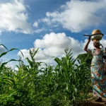 U.N. report finds global poverty rising for first time since 2010