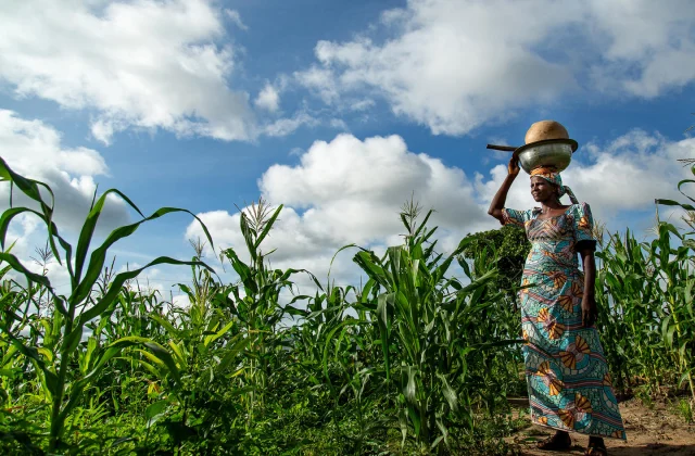 U.N. report finds global poverty rising for first time since 2010