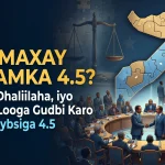 Waa Maxaay Nidaamka 4.5? Guulaha, Dhaliilaha, iyo Dhabaha Looga Gudbi Karo Awood-qaybsiga 4.5