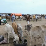 War-Ravaged Sudan on Brink as El Niño Fans New Crisis