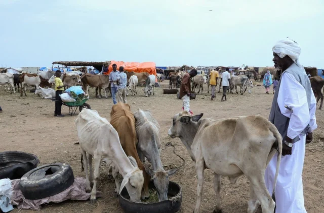 War-Ravaged Sudan on Brink as El Niño Fans New Crisis